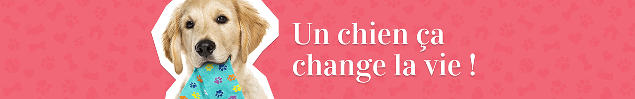 FDD Give expert header 1280x200-avec texte