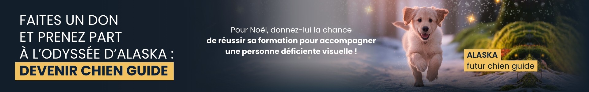 Bannière Givexpert MDD